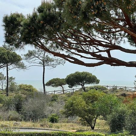 Praia Da Falesia Alfa Mar Albufeira オーリョス・デ・アーグァ エクステリア 写真