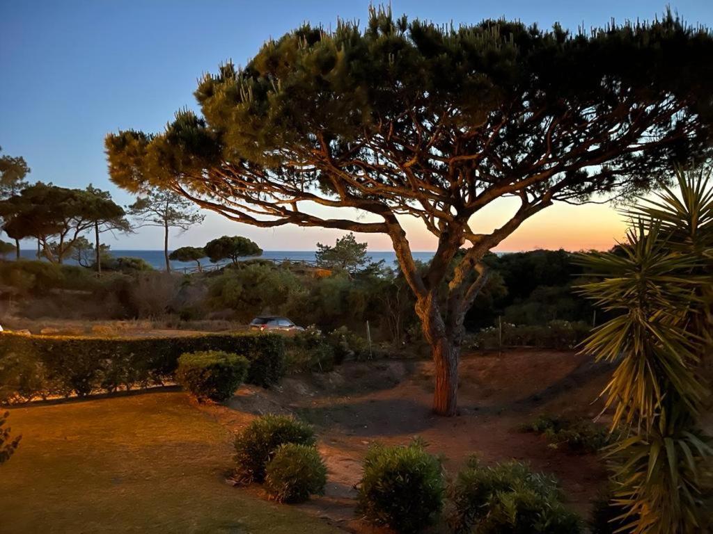 Praia Da Falesia Alfa Mar Albufeira オーリョス・デ・アーグァ エクステリア 写真