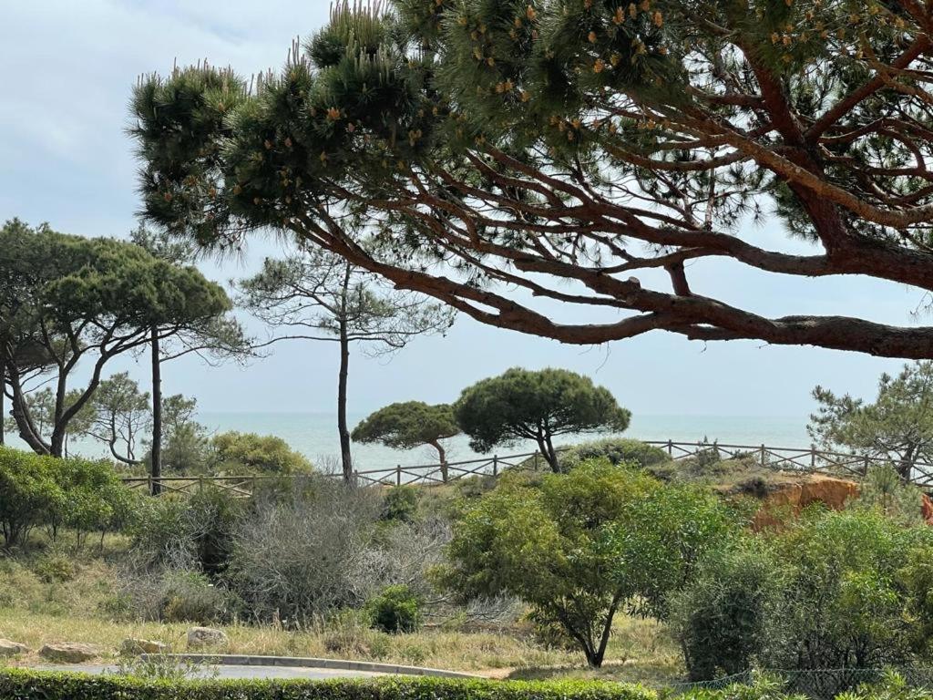 Praia Da Falesia Alfa Mar Albufeira オーリョス・デ・アーグァ エクステリア 写真