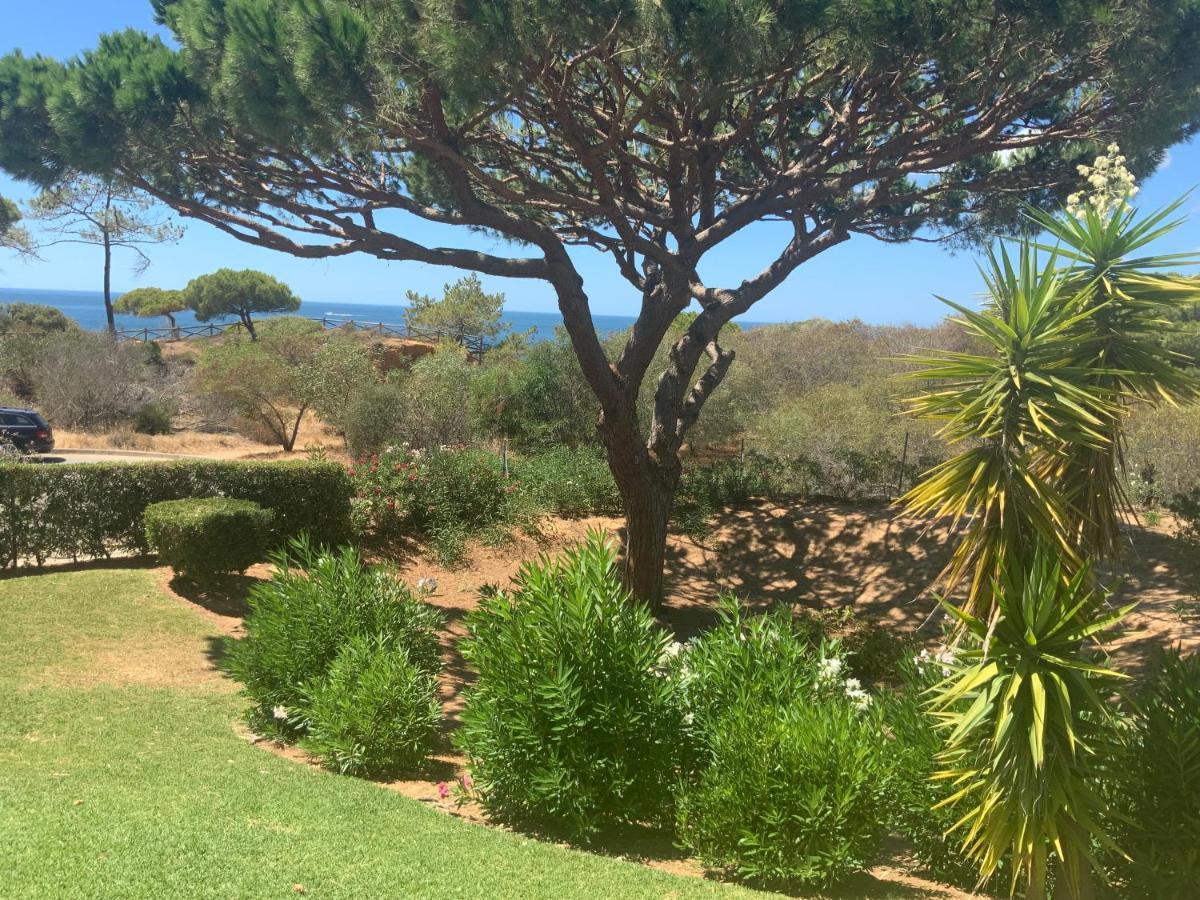 Praia Da Falesia Alfa Mar Albufeira オーリョス・デ・アーグァ エクステリア 写真